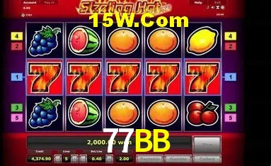 Sistemas de Segurança 77BB